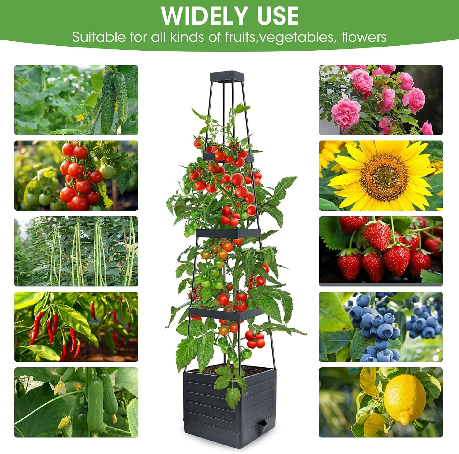 MYMULIKE Raised Garden Bed Planter Box with Trellis, 58” Tomato Cage Planter Raised Garden Bed with Trellis for Climbing Vegetables Plants Tomato Cage w/Self-Watering, Indoor Outdoor Use (2)