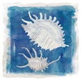 thumbnail image 2 of Robinson, Carol 20x20 White Modern Wood Framed Museum Art Print Titled - Coastal Washes Shell II, 2 of 4