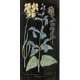 thumbnail image 2 of Wild Apple Portfolio 9x14 Gold Ornate Wood Framed with Double Matting Museum Art Print Titled - Salvia Florals II on Black, 2 of 4