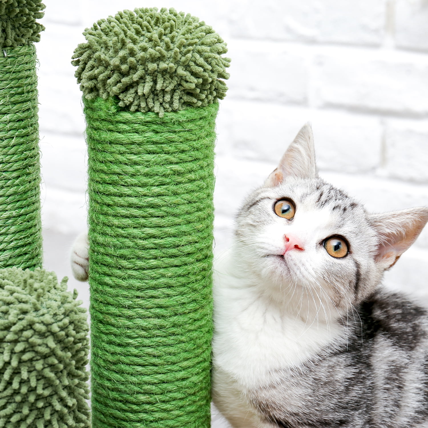 Pefilos 20" Cat Scratching Post for Furniture Cactus Cat Scratcher for Indoor Cats Featuring with 3 Scratching Poles and Interactive Dangling Ball Cat Tower for Adult Cats, M Pefilos 20" Cat Scratching Post for Furniture Cactus Cat Scratcher for Indoor Cats Featuring with 3 Scratching Poles and Interactive Dangling Ball Cat Tower for Adult Cats, M
