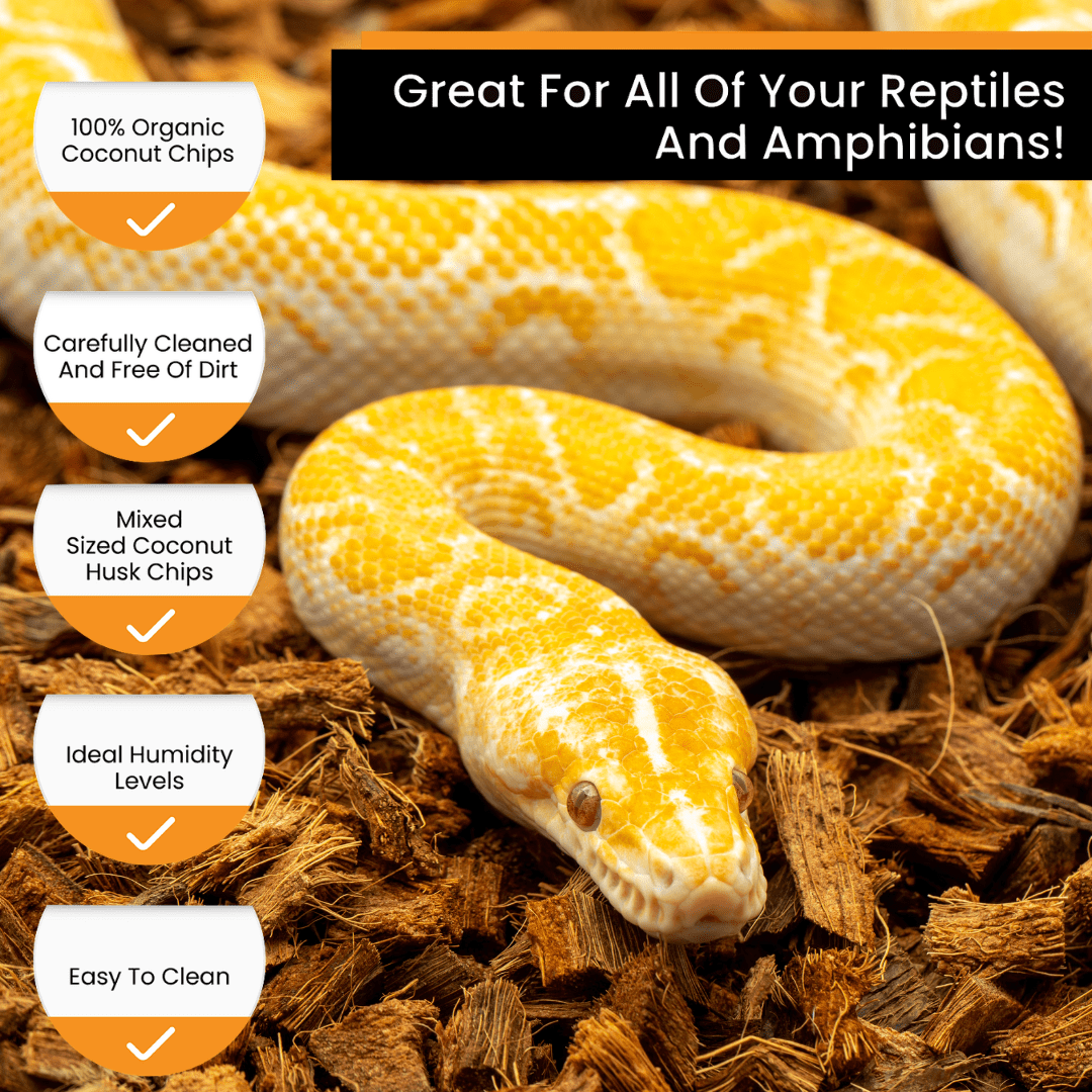 ReptiChip Premium Reptile Substrate Coarse Coconut Chip Mix The Perfect Bedding for Pythons, Boas, Lizards, and Amphibians… (12 Quart)