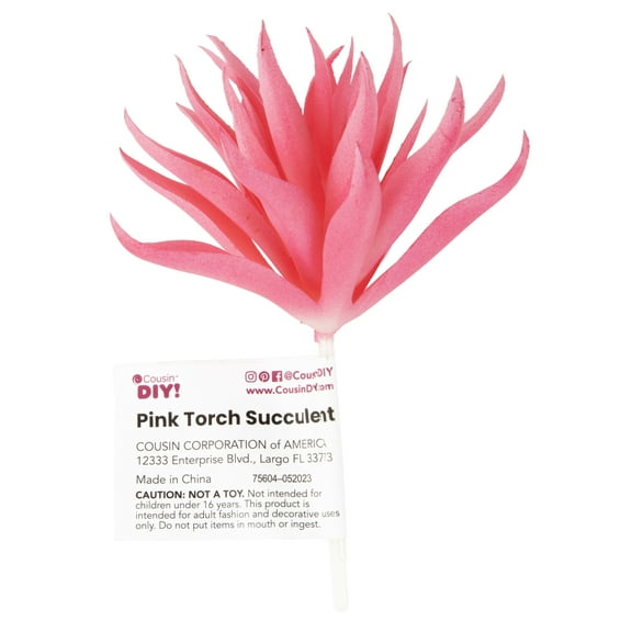 CousinDIY Torch Succulent Assortment