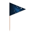 thumbnail image 1 of Leo Constellation Signe du Zodiaque Cure-Dent Triangle Toppers de Cupcake Drapeau, 1 of 3