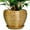Gold, variant on Ordivic 8 inch Gold Round Ceramic Flower Planter with Saucer, Modern Indoor Pot for Plants,Small Trees & Herbs, Ideal for Home & Office Decor