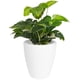 thumbnail image 1 of Maceta Cónica Elly Decor 30.5 cm con Drenaje Blanco Interior Exterior, 1 of 5