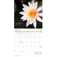 thumbnail image 3 of Trends International 2024 Zen Wall Calendar & Push Pins, 3 of 8