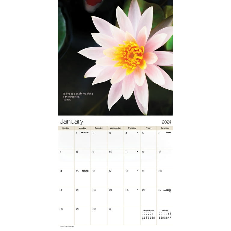Trends International 2024 Zen Wall Calendar & Push Pins