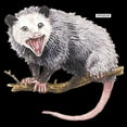 thumbnail image 3 of CafePress - Opossum Possum Animal Men's Dark Pajamas - Men's Dark Loose Fit Cotton Pajama Set, 3 of 7
