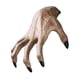 thumbnail image 1 of Colgador de Pared Mano Espeluznante JanHm Decoración Halloween Resina, 1 of 4