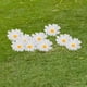 thumbnail image 3 of 10 piezas de estacas de flores de margarita perfecl decoración artística de patio de margaritas, 3 of 5