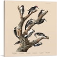 thumbnail image 1 of ARTCANVAS Marias Woodpecker Canvas Art Print by John James Audubon - Size: 12" x 12" (1.50" Deep), 1 of 9