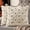 Cream White, variant on decorUhome Halloween Throw Pillow Covers 18x18 Pack of 2, Soft Plush Faux Wool Couch Pillow Covers, White (Pillow Cover Only, No Inserts Included)
