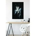 thumbnail image 6 of DC Comics - Catwoman - Portrait Wall Poster, 22.375" x 34", 6 of 6