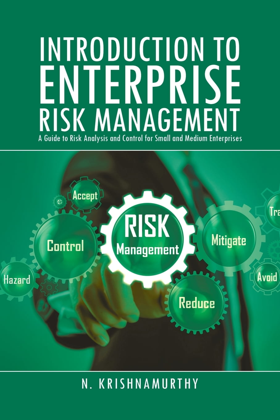 enterprise risk manager enterprise risk manager