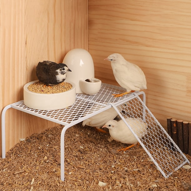 Rutin Chicken Grid Racks with Climbing Ladder Stainless Steel ...