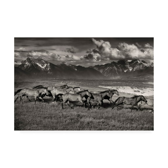 Trademark Fine Art 'Mountain Range Mavericks' Canvas Art by Lisa Dearin