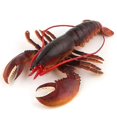 thumbnail image 1 of nipocaio Sea Lifelike Lobster Fish Statue Model Figurine For House Room Tabletop Decorred1pcs, 1 of 5