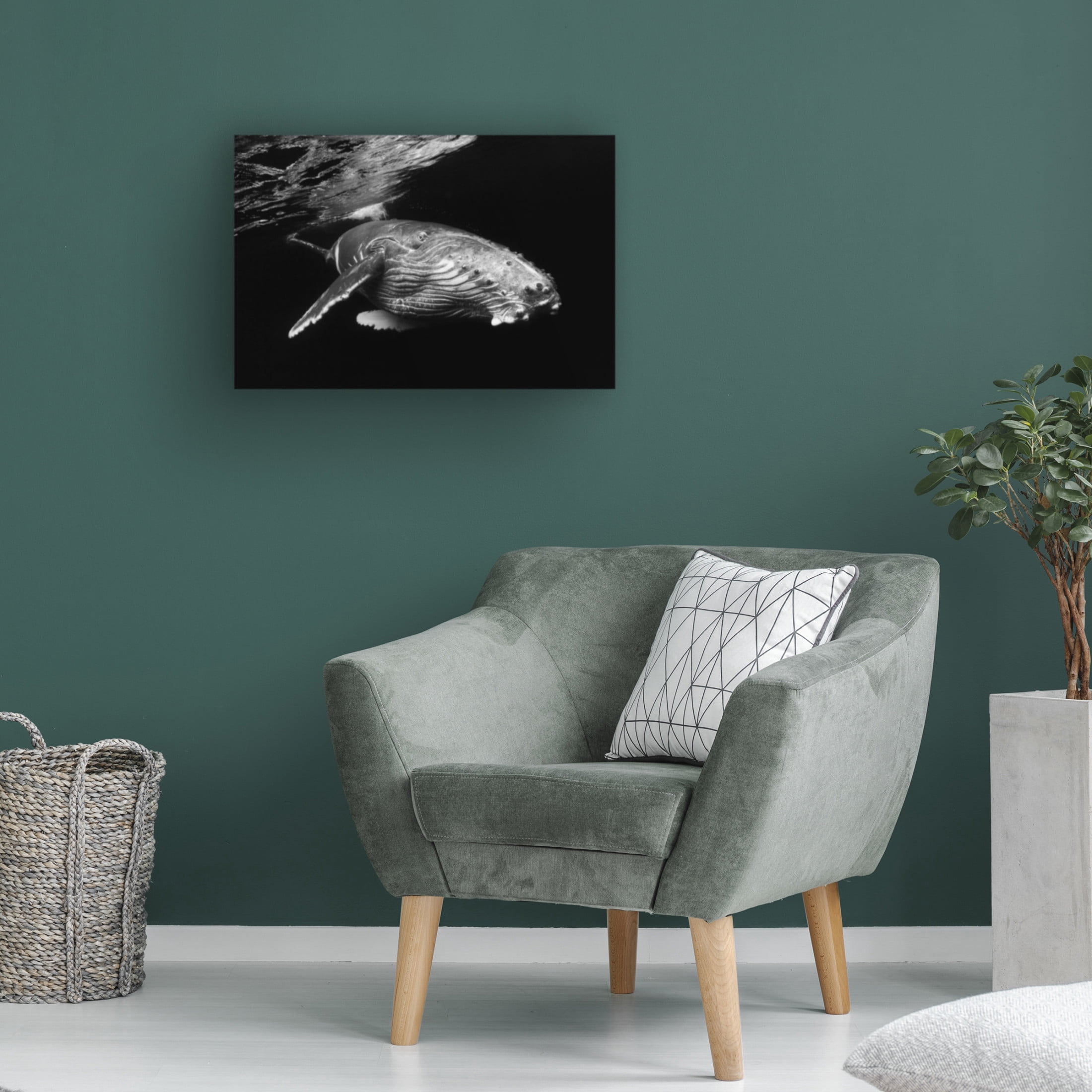 Canvas Wall Art - Barathieu Gabriel 'Humpback Whale Calf' Wall Art for Living Room, Bedroom, or Office Décor by Trademark Fine Art - 32 x 22 Inches