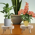 thumbnail image 3 of Vintage Wood Grain Garden Plant Pot Flower Display Holder Flower Pot Bonsai Display Shelf Stool, 3 of 6