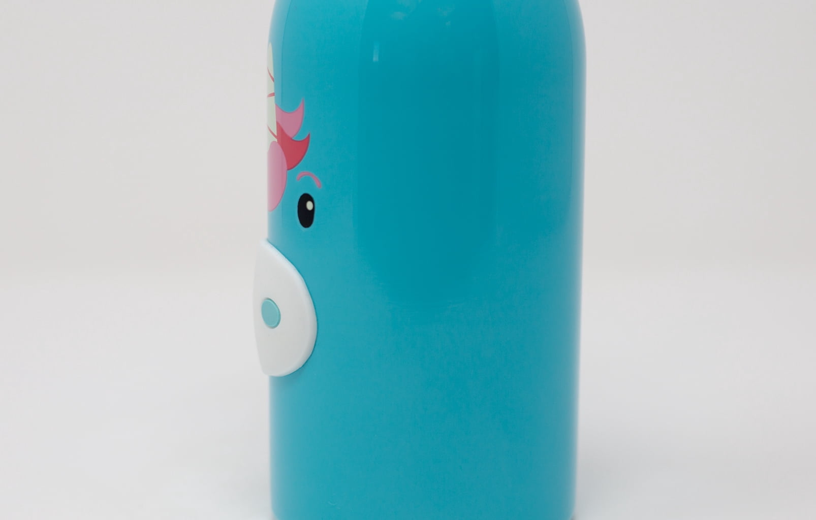Boston Warehouse Stainless Steel Water Bottle, 12 Ounces
