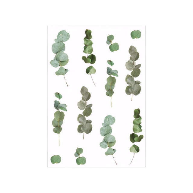 Injueey Pegatinas Retro elegantes de flores y plantas para proyectos de bricolaje, pegatinas transparentes de PET para álbum de recortes cartulina No.05