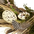 thumbnail image 5 of Northlight Speckled Eggs and Feathers Artificial Small Earthy Easter Wreath - 14", 5 of 5