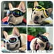 thumbnail image 4 of Stylish & Windproof: Pet Sunglasses to Keep Your Dog Safe in Summer!, 4 of 5