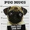 thumbnail image 3 of Pug Mugs: Good Pugs Gone Bad, 3 of 3