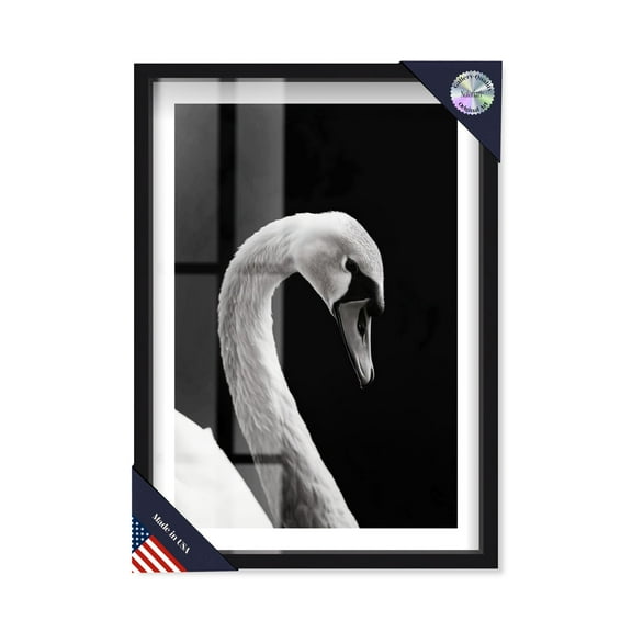 Inverted Quack Shadowbox Print Animal Art Prints by Notoriart, Black Frame, 11 x 16