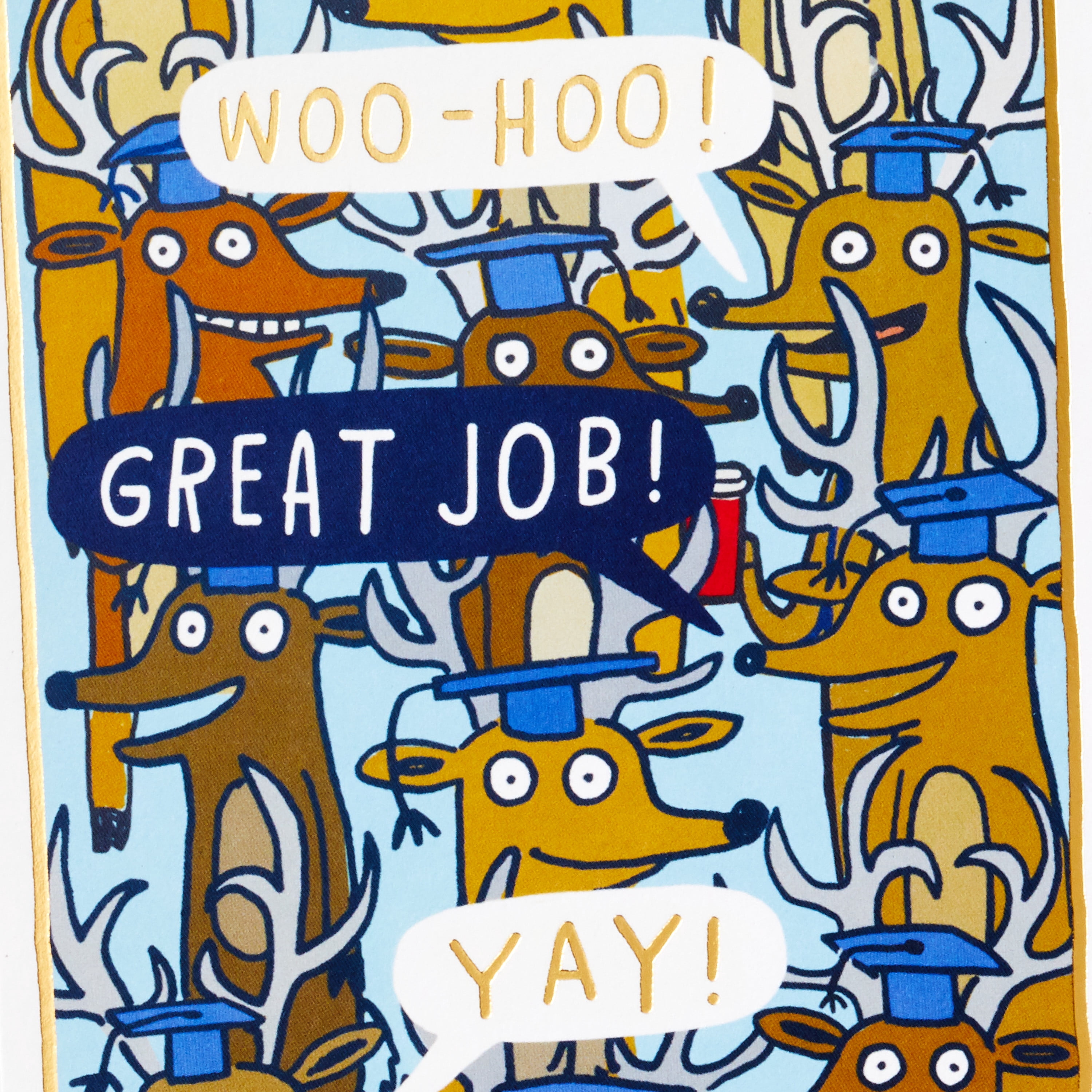 Hallmark Shoebox Funny Blue Paper Money Holder Graduation Card (a Few Bucks)