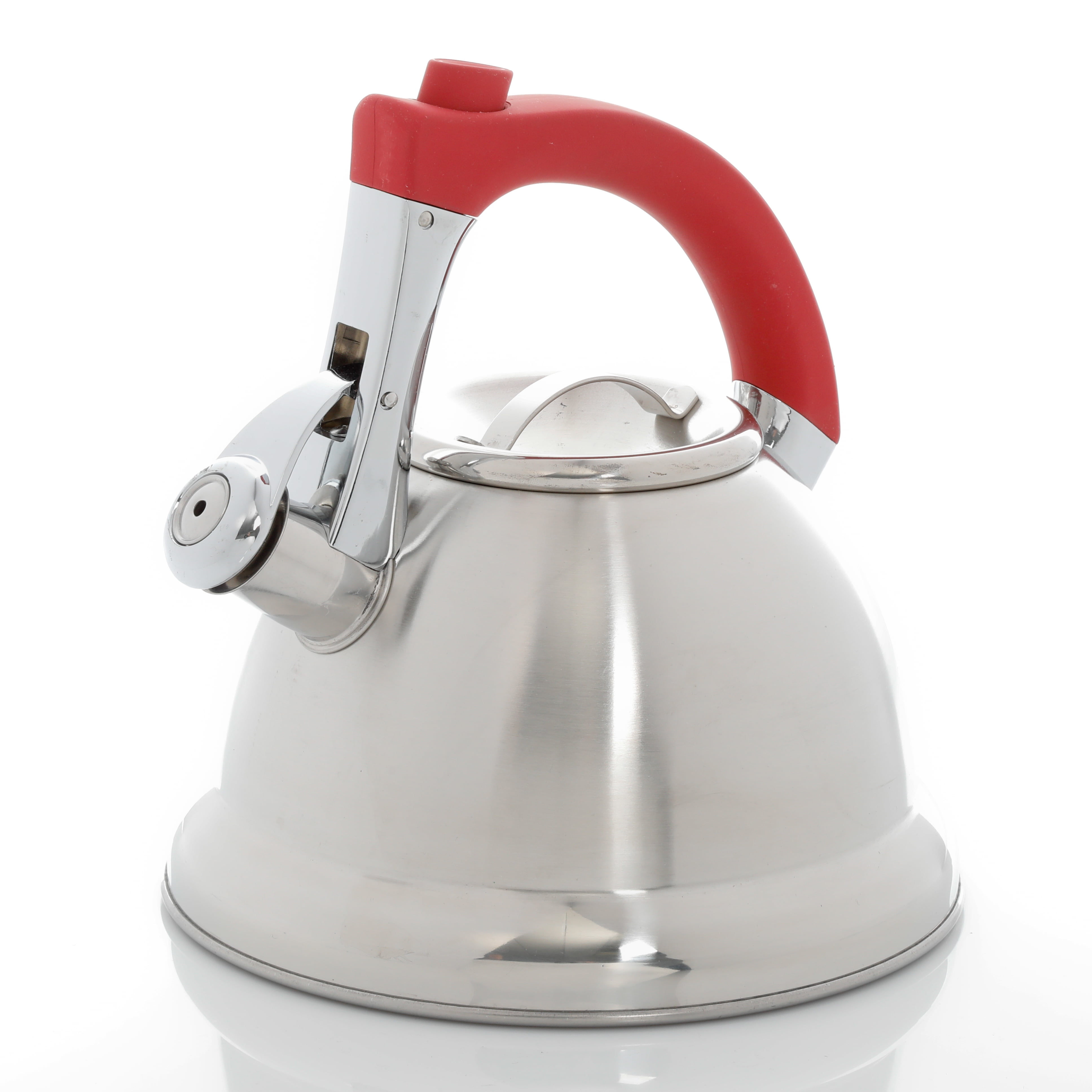 Mr. Coffee Sanborn 2.4-Quart Stainless Steel Kettle in the Cooking Pots  department at