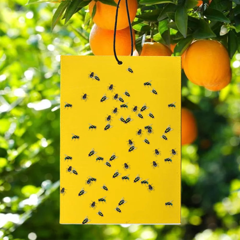 YiaNXan 100 Pack Dual-Sided Yellow Sticky Traps, 5.9" x 7.87" Fruit Fly Traps Fungus Gnat Traps for Indoor Outdoor Use Protect The Plant