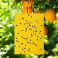 thumbnail image 3 of 100 Pack Yellow Sticky Traps, Gnat Trap, Gnat Killer, Fruit Fly Paper Dual-Sided, Fly Traps Indoor Sticky, Sticky Traps Insects, Indoor/Outdoor, 3 of 10