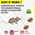 Grandpa Gus's Rodent Repellent Spray, Natural Peppermint & Cinnamon