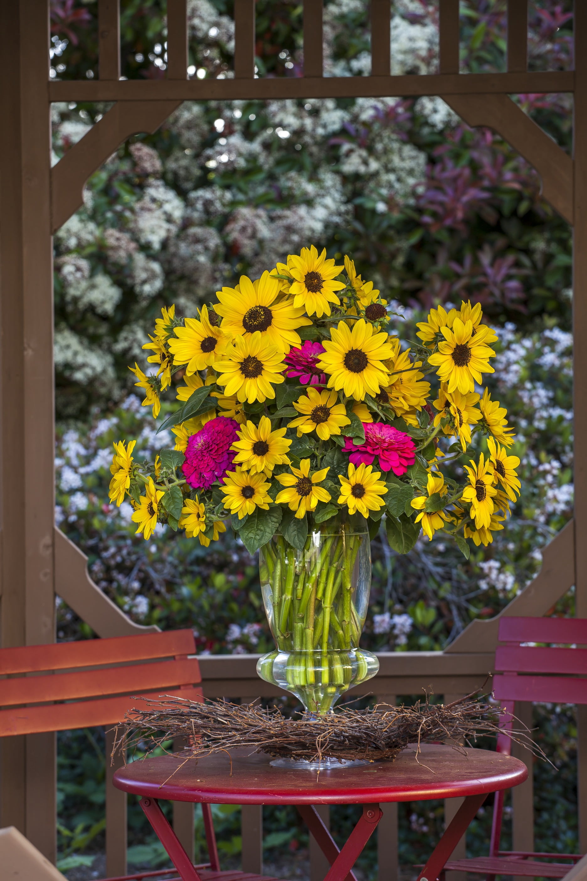 2.5 Quart Sunflower Sunfinity Live Annual Plant with Full Sunlight- 1 Piece