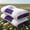 ZIBAI, variant on 2-Pack Ergonomic Neck Pillows for Deep Sleep, Adjustable Contour Support Pillows with High-Quality Pillow Cores(Gray White)