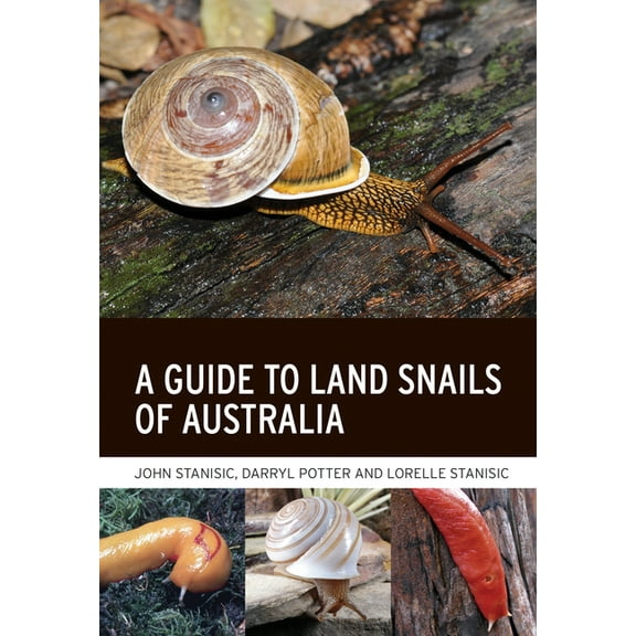 A Guide to Land Snails of Australia, (Paperback)