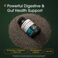 thumbnail image 2 of NatureBell Digestive Enzymes - 240 Capsules - Gut & Digestive Health Support Supplement - With 20 Enzymes, 5 Prebiotics & 10-Strand Probiotic Blend - 120 Servings, 2 of 8