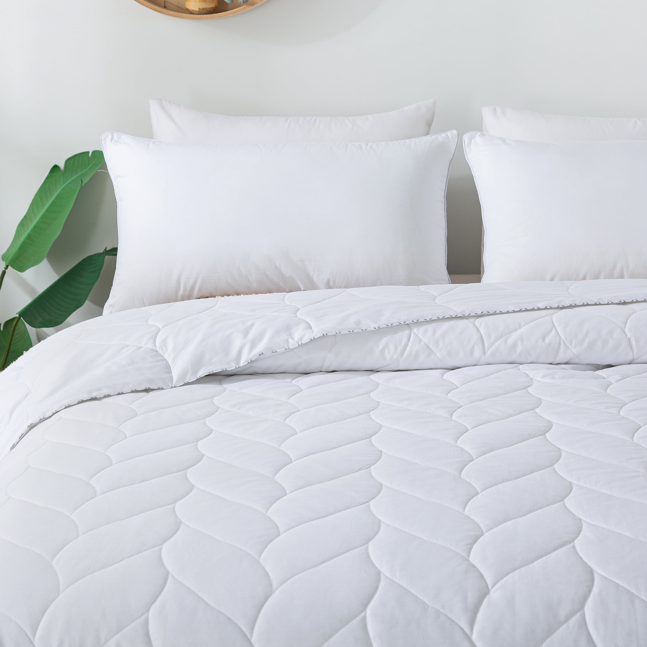 Waverly Cotton Down Alternative Blanket - Twin