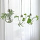 thumbnail image 3 of 3pcs Clear Glass Bulb Hanging Plant Flower Vase Hydroponic Container Bottle, 3 of 5