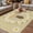 Tan, variant on Brown Daisy Bees Outdoor Rug for Patio/Deck/Porch, Non-Slip Large Area Rug 6 x 9 Ft, Spring Farmhouse Honey Floral Rings Indoor Outdoor Rugs Washable Area Rugs, Reversible Camping Rug Carpet Runner