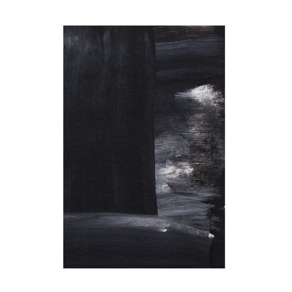 Trademark Fine Art uplusmestudio Midnight Texture Canvas Wall Art