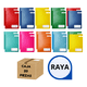thumbnail image 1 of Cuaderno Profesional Cosido Ferrini 100 H Raya Caja 20 Piezas, 1 of 6