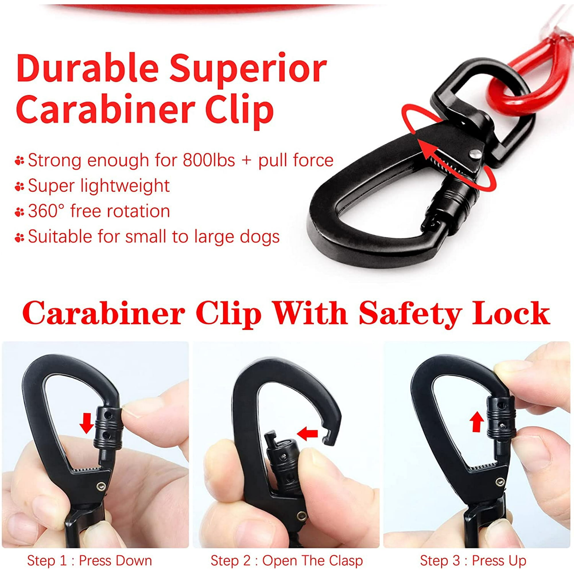 Dog leads for outside hot sale