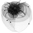 thumbnail image 1 of Fascinator Hat Tea Party Hat Mesh Yarn Fascinator Halloween Costume Headpiece, 1 of 3