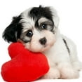 thumbnail image 2 of 5D DIY Rhinestone Painting Diamond Cross-stitch Love Heart Dogs embroidered drawing Embroidered needlework Embroidered Drawing Needlework Multicolor Stitchwork, 2 of 9
