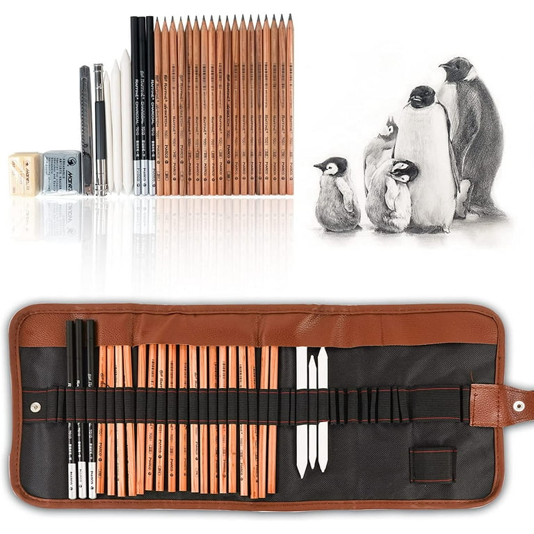 Drawing Pencils Set, Sketching Pencils Set, Art Set With Graphite Pencils,  Charcoal Pencils, Blending Stumps, Pencil Extension Tool In Roll Up Case Fo