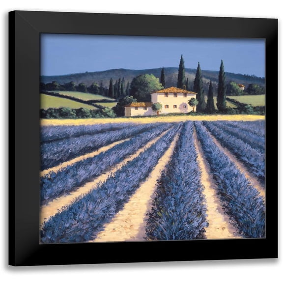 Short, David 12x12 Black Modern Framed Museum Art Print Titled - Colors of Summer