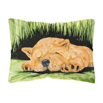 Carolines Treasures SS8526PW1216 Chow Chow Decorative Canvas Fabric Pillow, Large, Multicolor