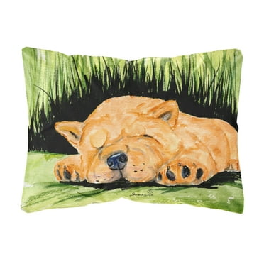 Carolines Treasures SS8526PW1216 Chow Chow Decorative Canvas Fabric Pillow, Large, Multicolor